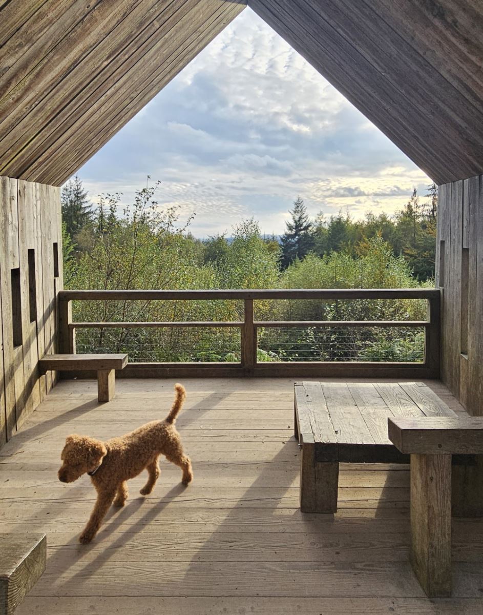 Haldon Forest Park